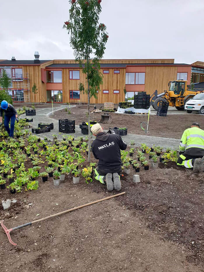 KLAS i gang med planting av grøntareale.